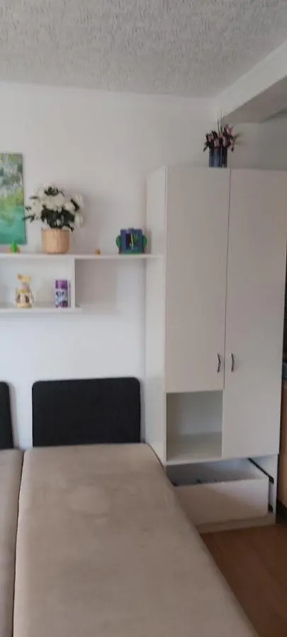 Apartment Pensiunea Casa Mara Bucharest Romania