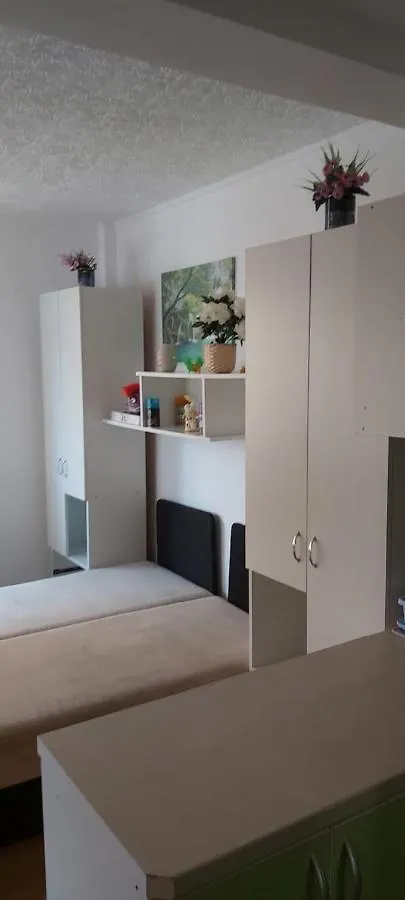 Pensiunea Casa Mara Bucharest