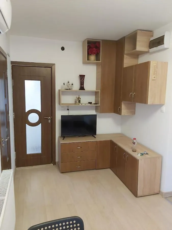Pensiunea Casa Mara Bucharest Apartment