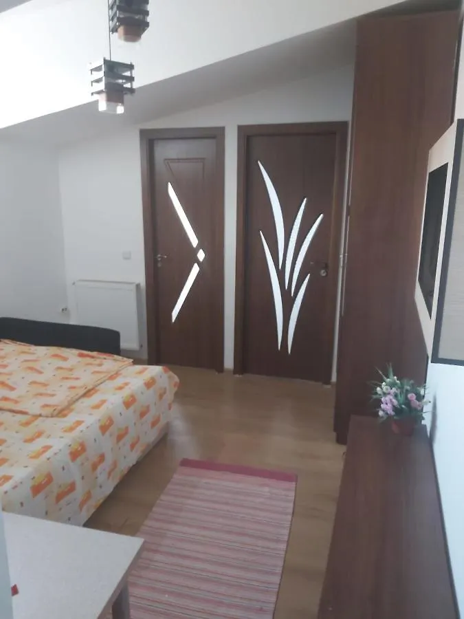 Apartment Pensiunea Casa Mara Bucharest