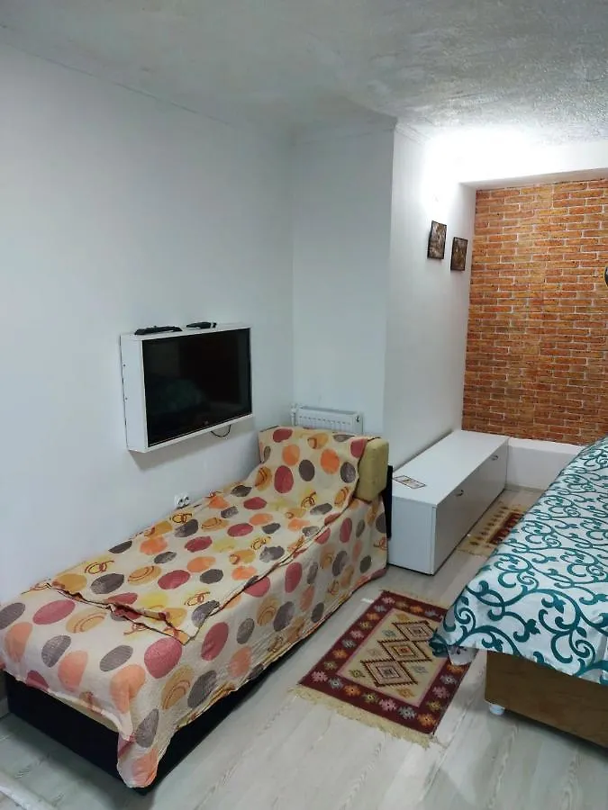 Apartment Pensiunea Casa Mara Bucharest